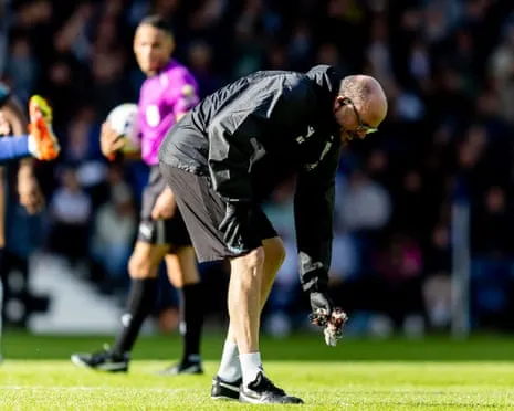 I have Observed Horrible Things at Soccer Games – But The Thing That Fell on the Field Last Week Was the Worst